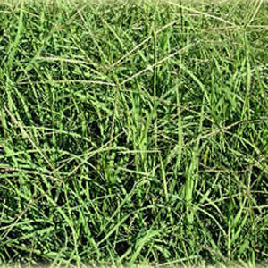 touchdown_system_4(1)