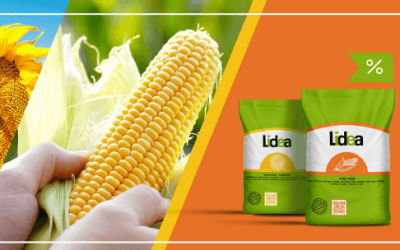 Промоция пролет 2026 от Лидеа