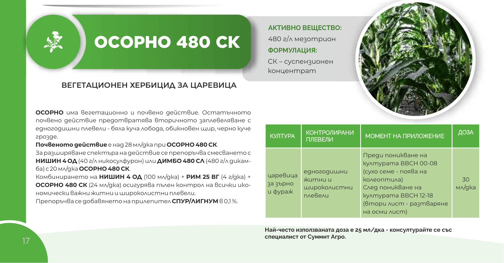 Осорно 480 СК