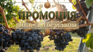 Зорвек Винабел фунгицид