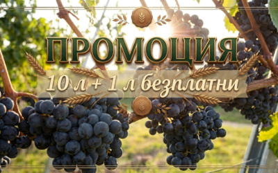 Зорвек Винабел фунгицид