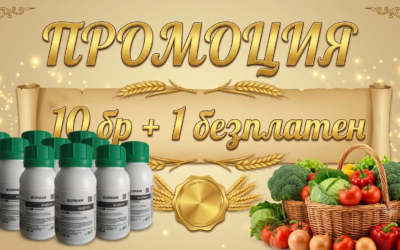 Волиам фунгицид