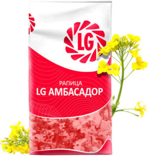 LG АМБАСАДОР - рапица