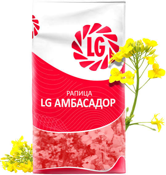 LG АМБАСАДОР - рапица