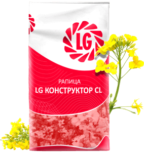 LG КОНСТРУКТОР CL - рапица